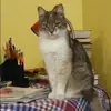 Отзыв от Татьяна Ширяева
